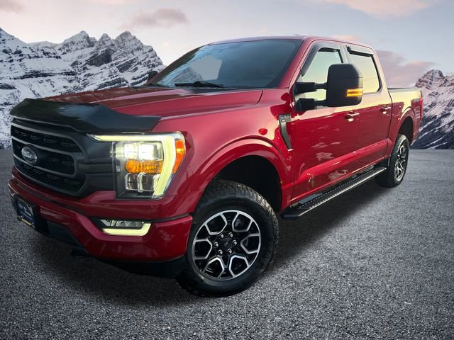 Certified 2022 Ford F150 XLT w/ Equipment Group 302A High image 8