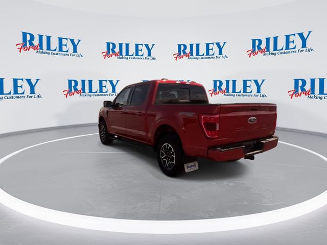 Certified 2023 Ford F150 XLT w/ Equipment Group 302A High AWD/4WD image 7