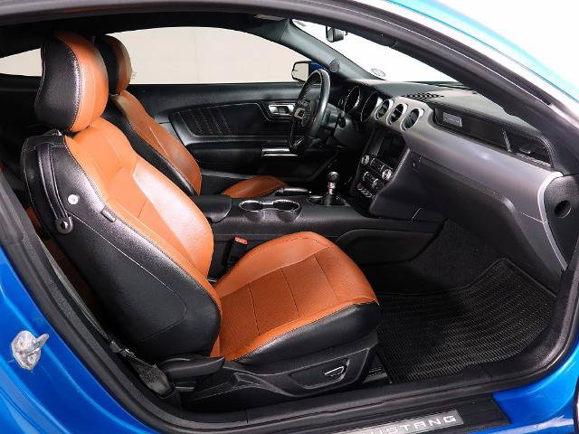 Certified 2019 Ford Mustang Premium w/ Pony Package RWD image 14