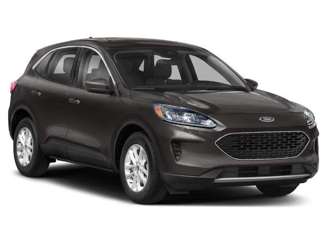 Certified 2020 Ford Escape SE image 5