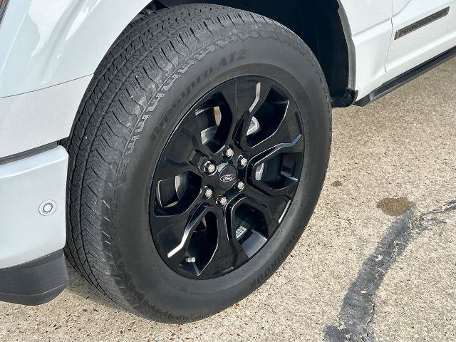 Certified 2023 Ford F150 Platinum w/ Equipment Group 701A High AWD/4WD image 11