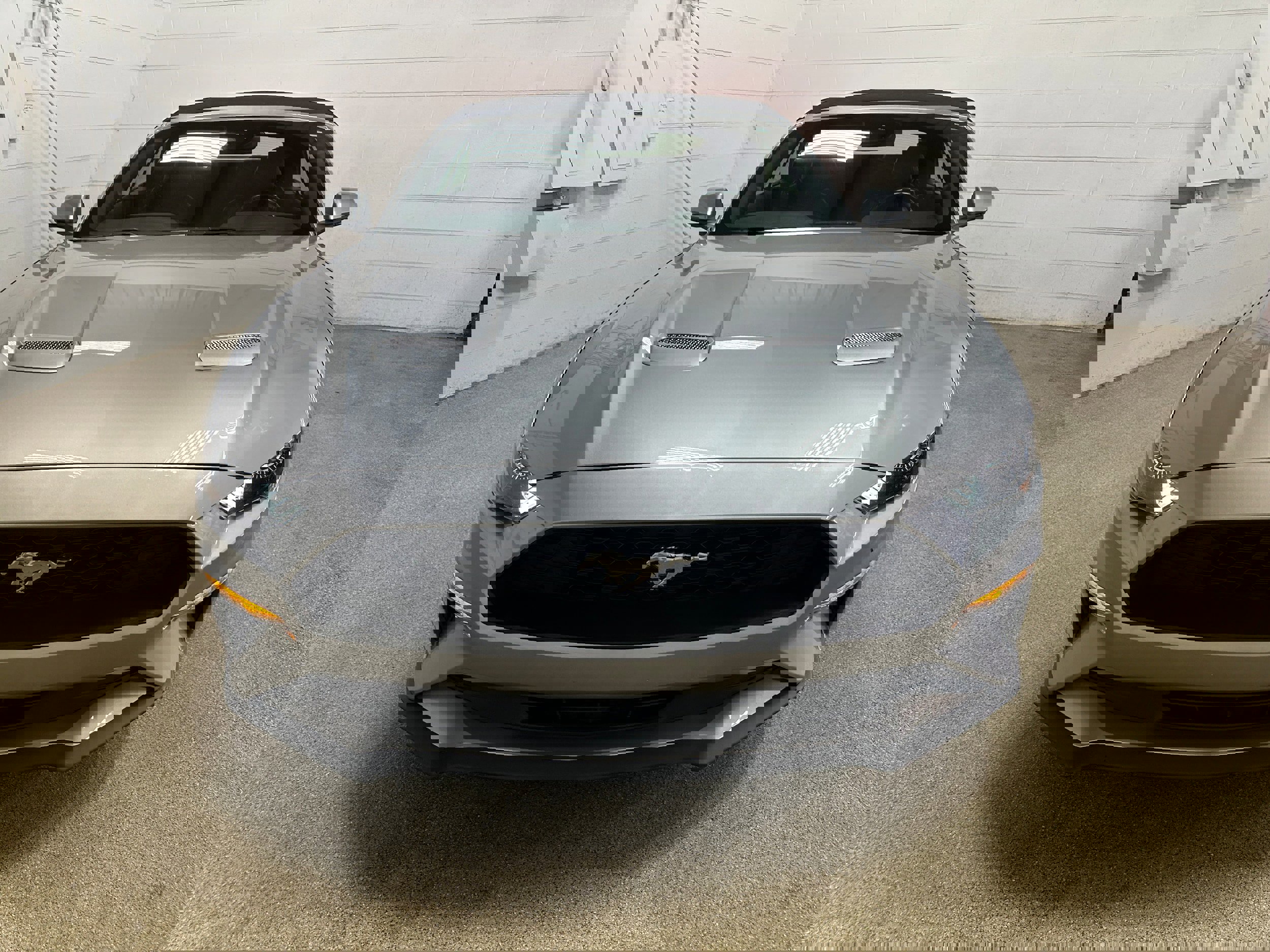 Certified 2023 Ford Mustang Premium image 9