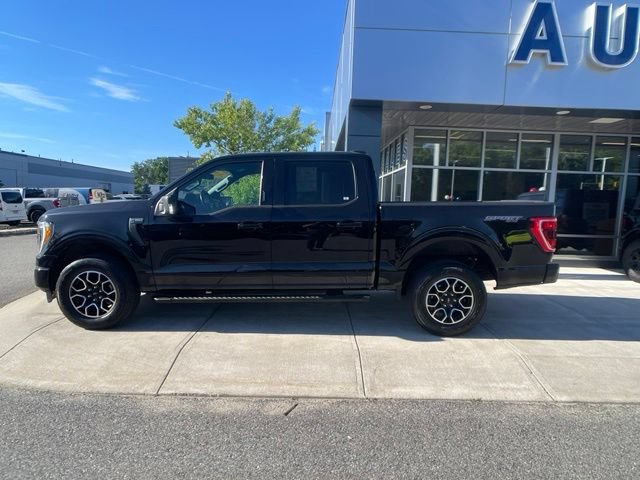 Certified 2022 Ford F150 XLT w/ Equipment Group 302A High AWD/4WD image 5