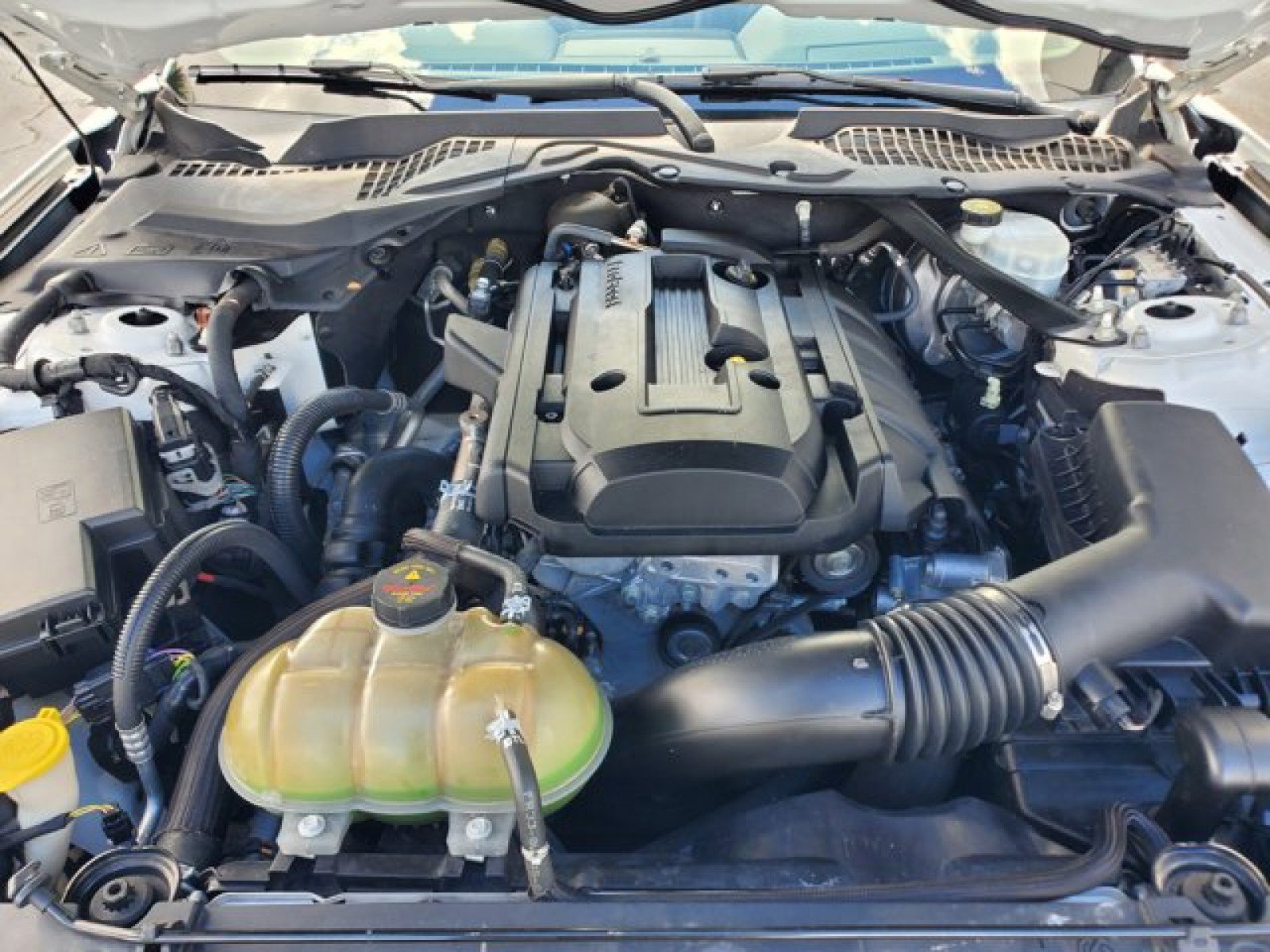 Certified 2019 Ford Mustang Premium image 30