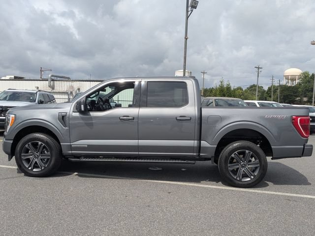 Certified 2023 Ford F150 XLT w/ Equipment Group 302A High AWD/4WD image 6