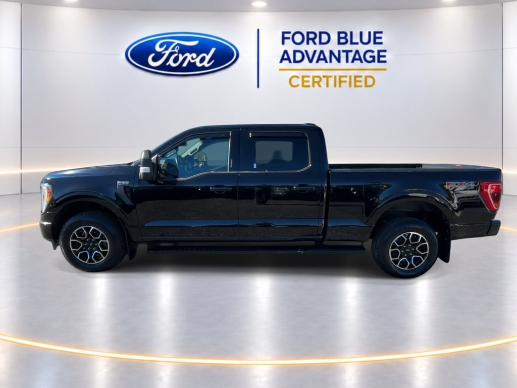 Certified 2023 Ford F150 XLT w/ Equipment Group 302A High AWD/4WD image 6