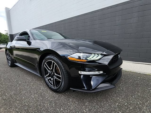 Certified 2019 Ford Mustang Premium RWD image 8