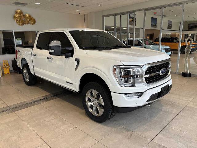 Certified 2023 Ford F150 Platinum AWD/4WD image 1