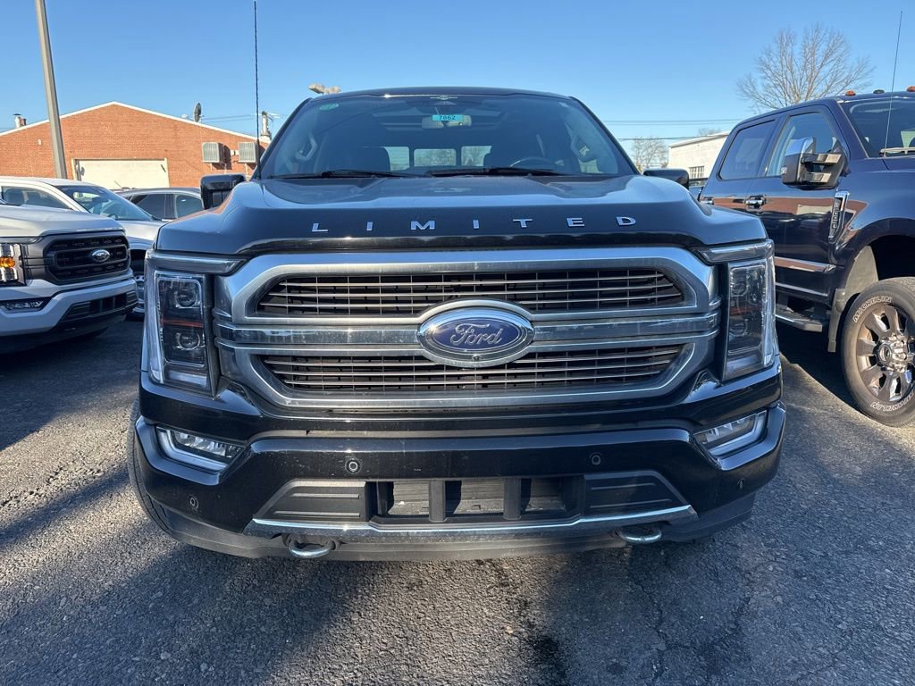 Certified 2023 Ford F150 Limited image 8