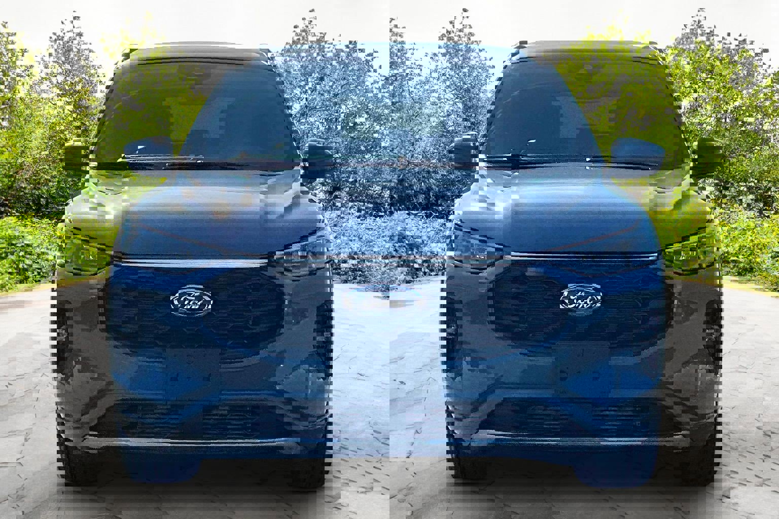 Certified 2025 Ford Escape ST-Line Elite image 6