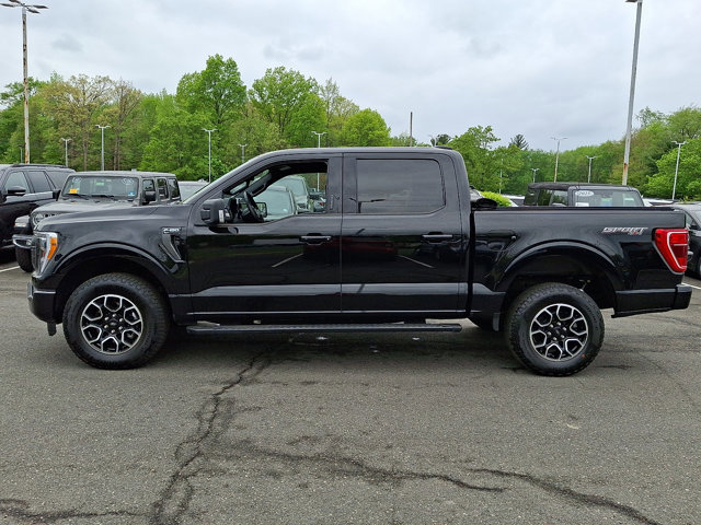 Certified 2023 Ford F150 XLT w/ Equipment Group 302A High AWD/4WD image 6