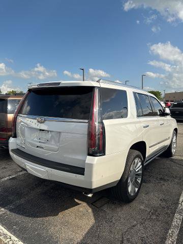 Used 2018 Cadillac Escalade Platinum AWD/4WD image 3