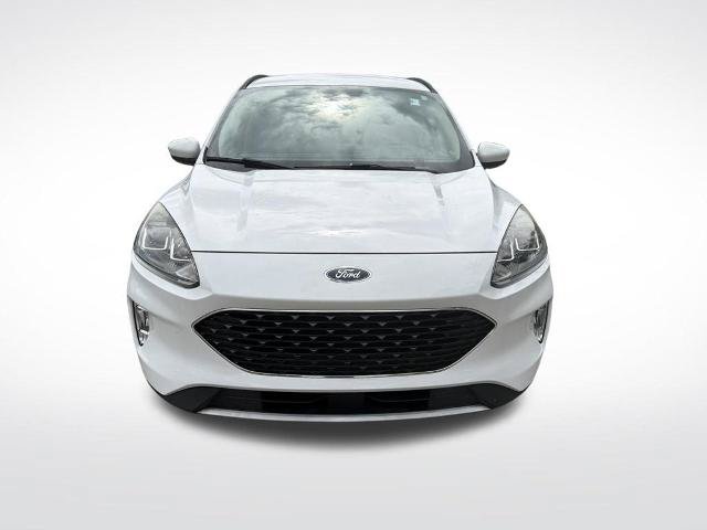 Certified 2020 Ford Escape SEL FWD image 3