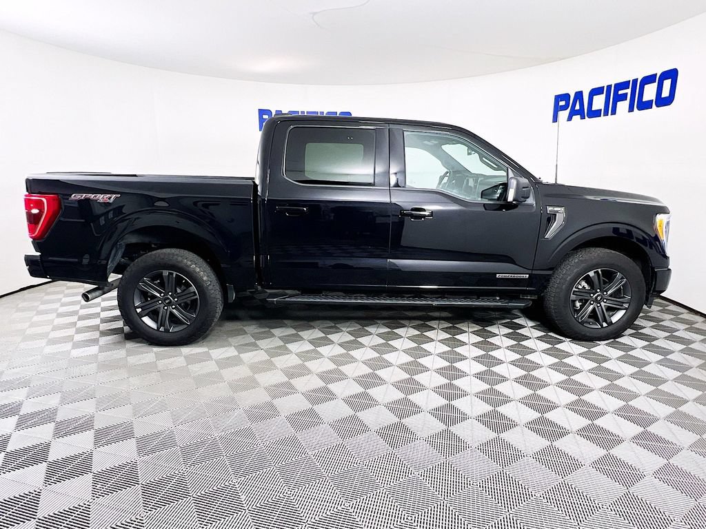 Certified 2023 Ford F150 XLT w/ Equipment Group 302A High AWD/4WD image 9