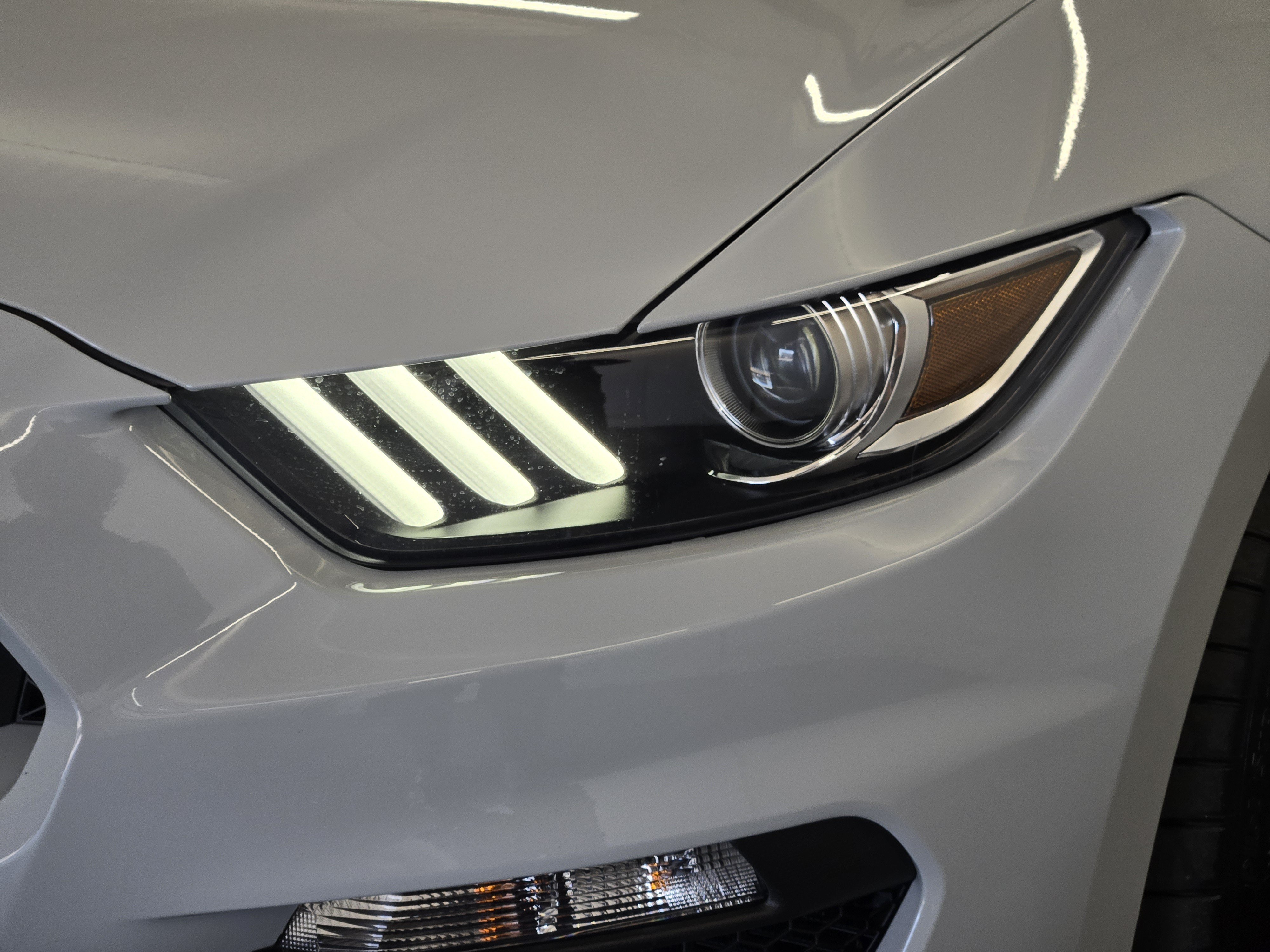 Certified 2017 Ford Mustang Shelby GT350 RWD image 8