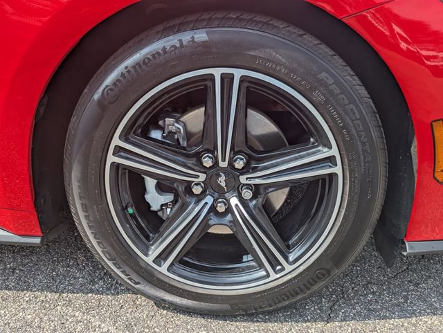 Certified 2024 Ford Mustang Premium image 10