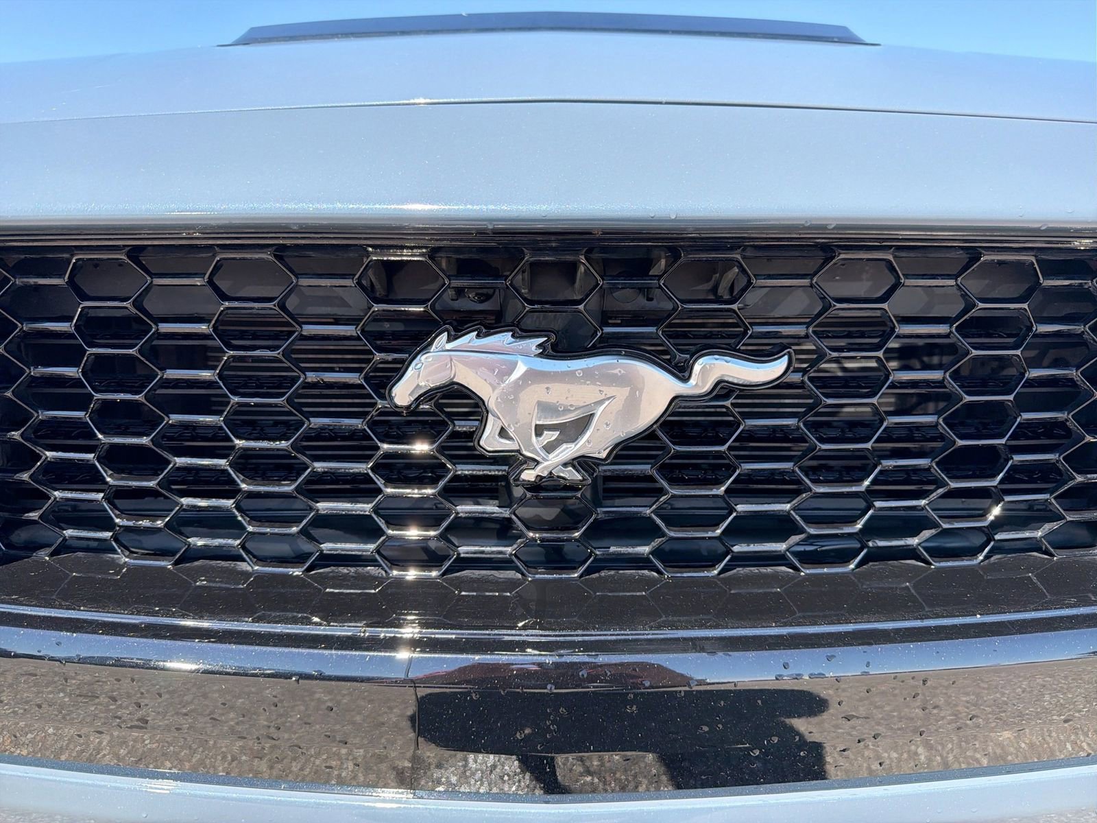 Certified 2024 Ford Mustang GT RWD image 13