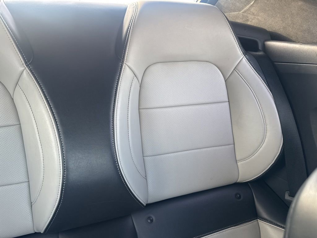 Certified 2024 Ford Mustang Premium image 15