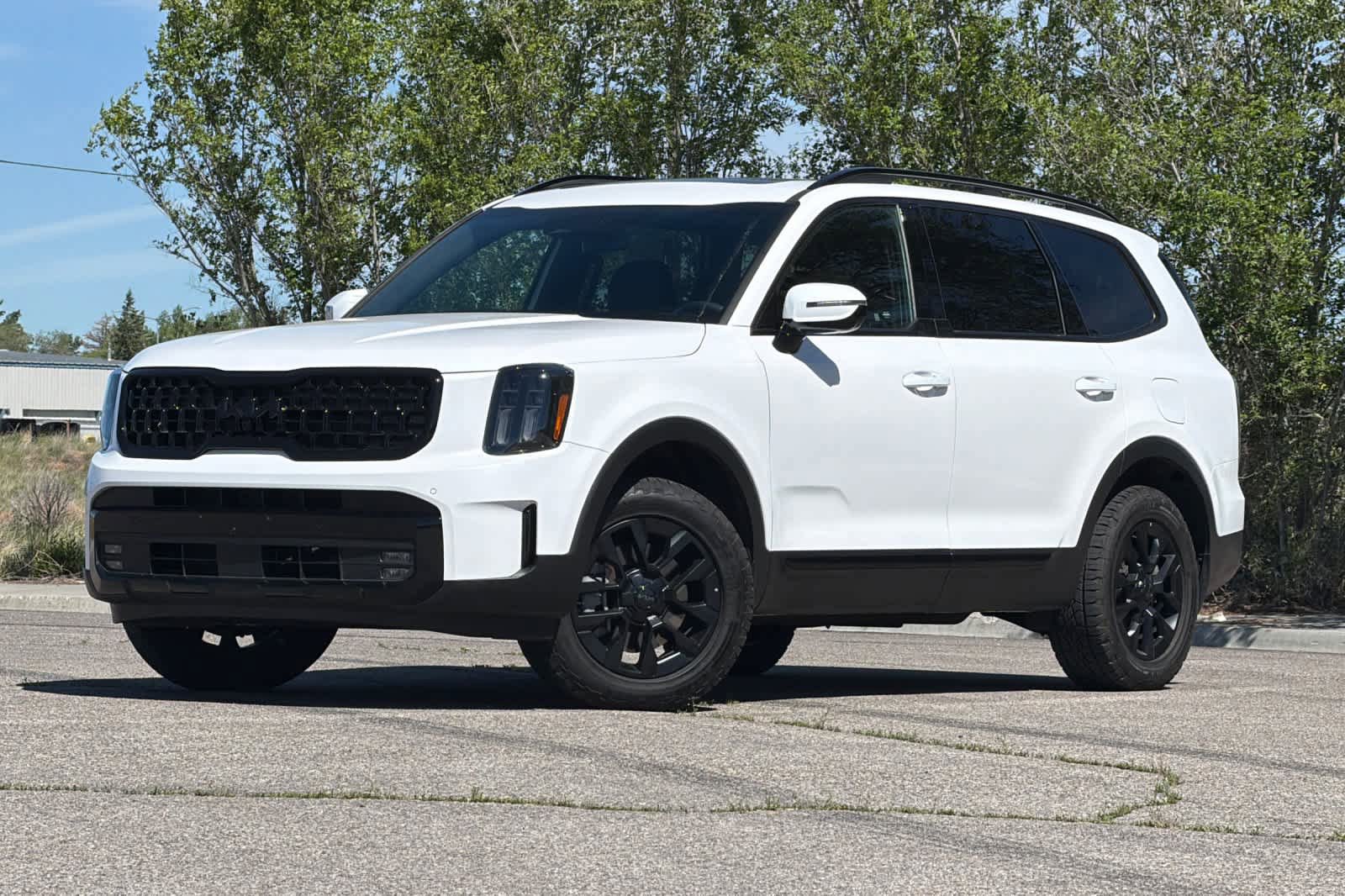 Used 2025 Kia Telluride SX Prestige X-Pro AWD/4WD image 1
