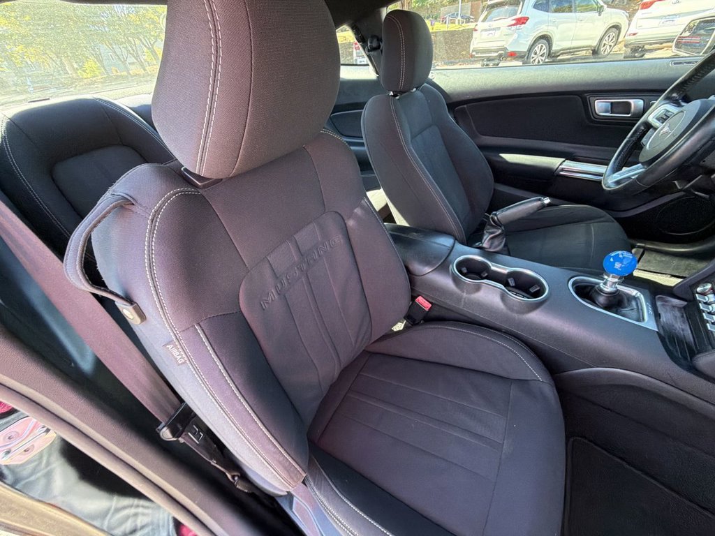Certified 2019 Ford Mustang GT w/ Equipment Group 301A RWD image 25