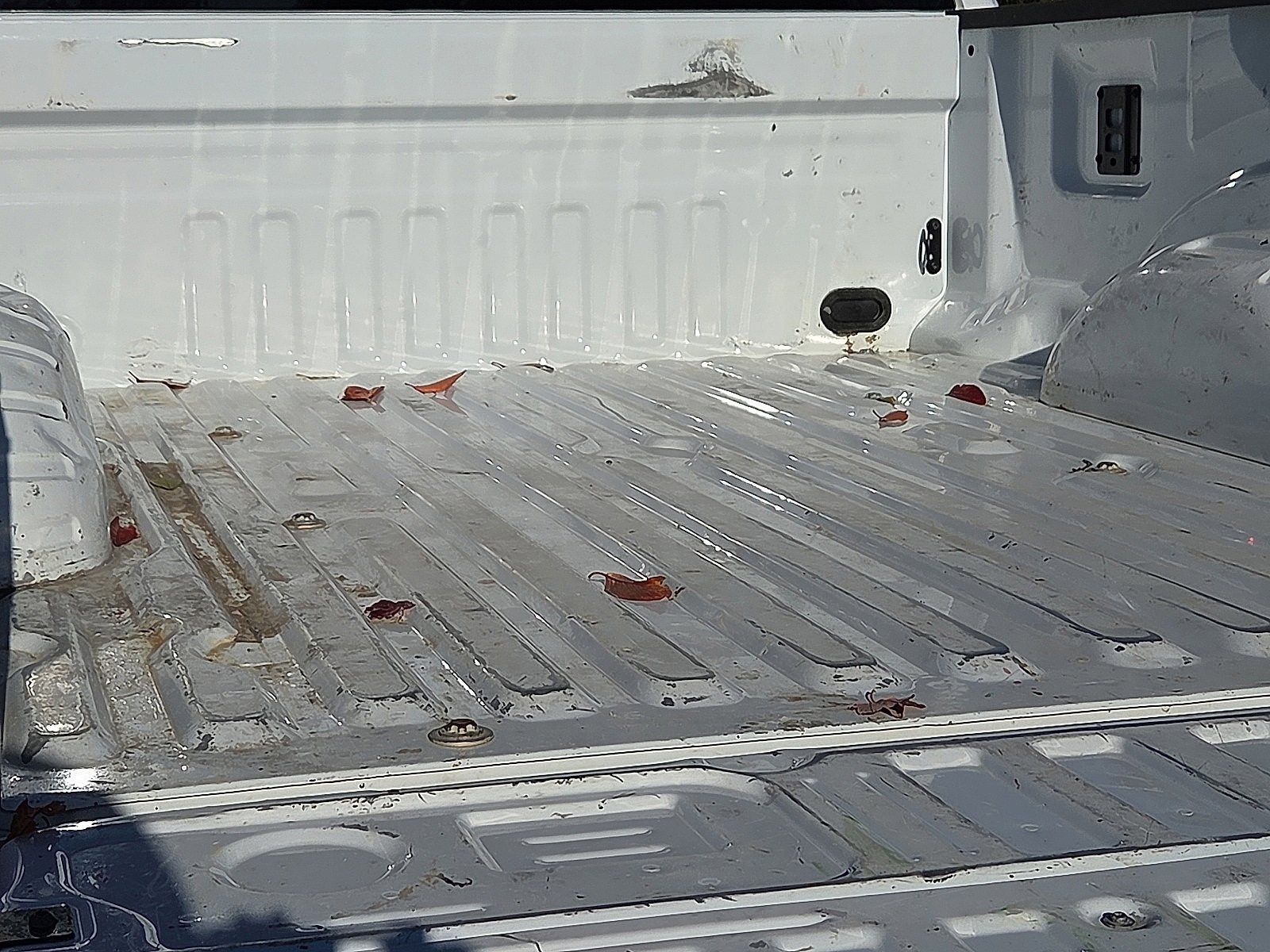 Certified 2024 Ford F250 XLT image 8