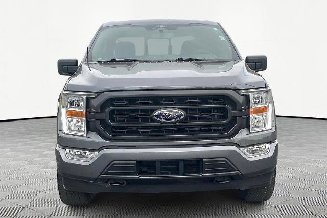 Certified 2022 Ford F150 XLT w/ Equipment Group 301A Mid image 6