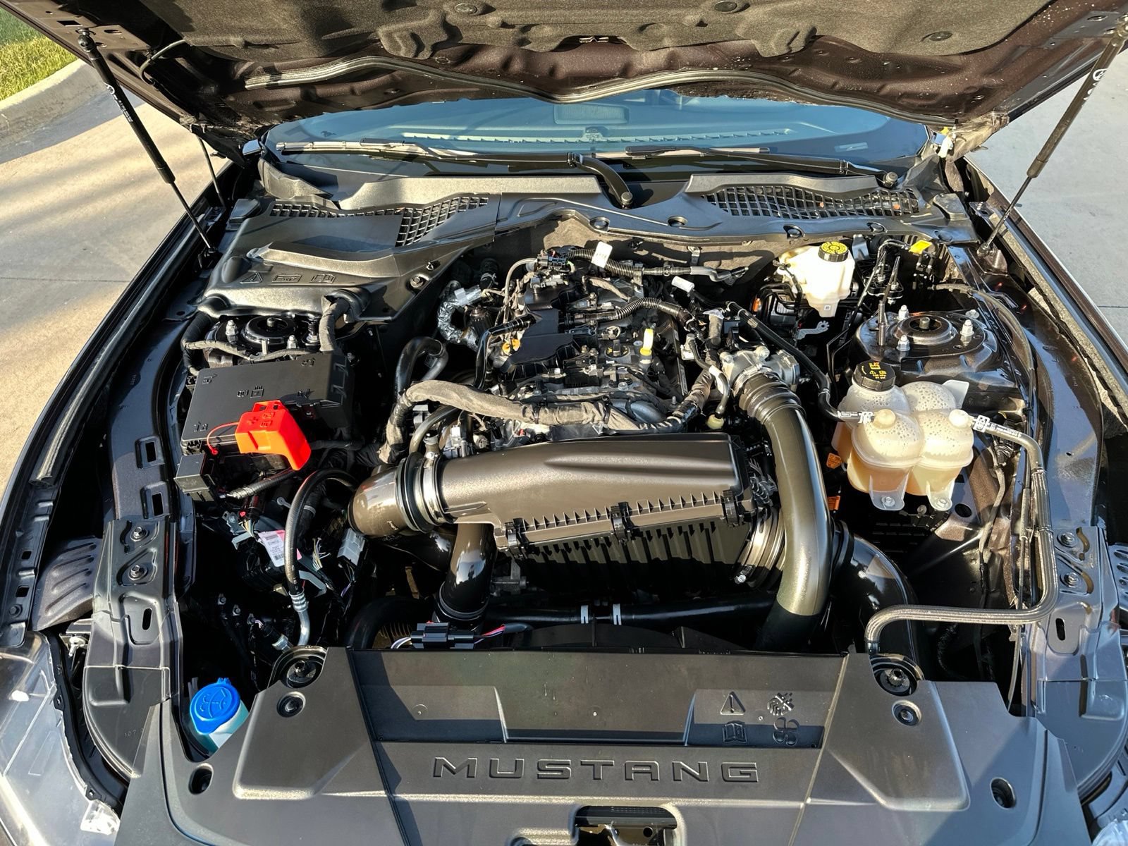 Certified 2024 Ford Mustang Coupe RWD image 15