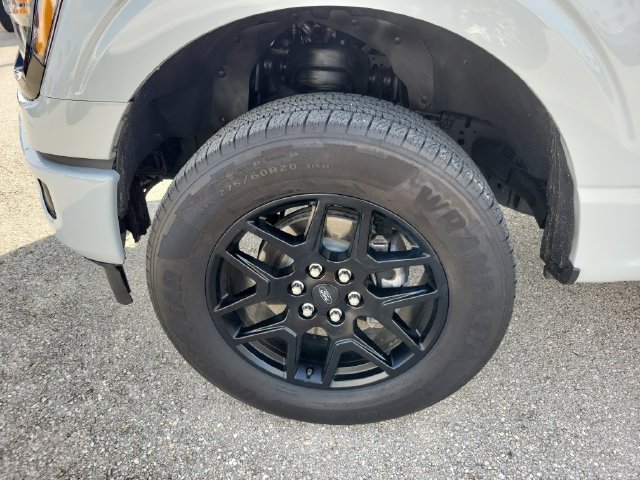 Certified 2024 Ford F150 STX w/ STX Black Appearance Package RWD image 12