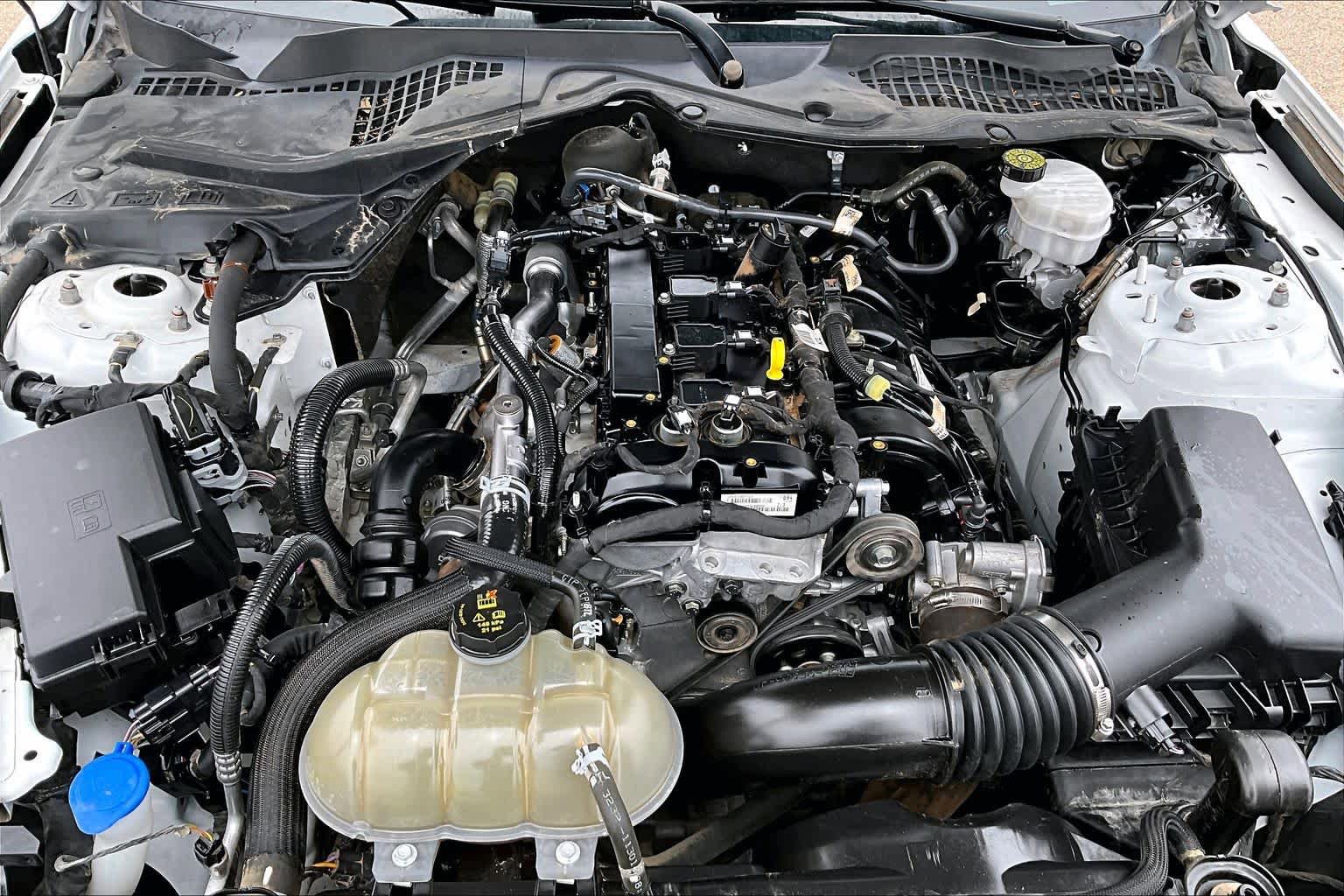 Certified 2023 Ford Mustang Premium RWD image 32