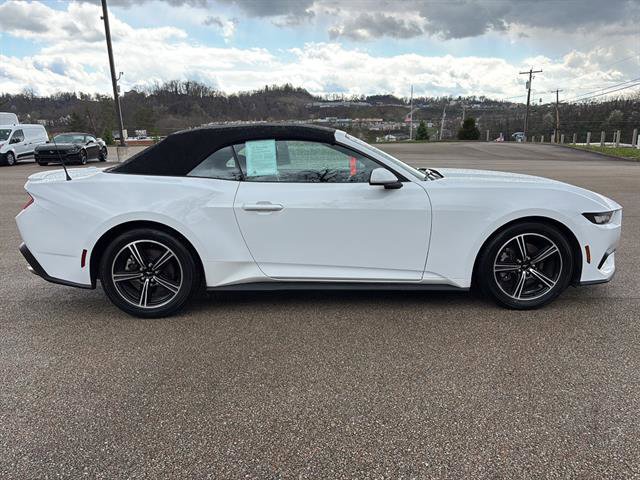 Certified 2024 Ford Mustang Premium image 6