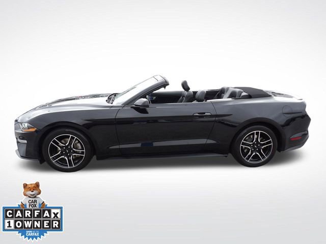 Certified 2023 Ford Mustang Premium image 3