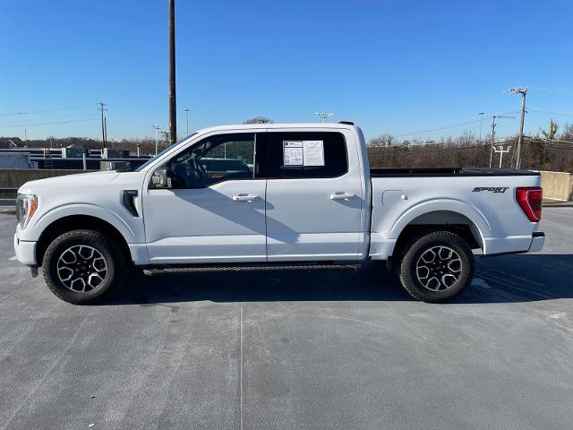 Certified 2023 Ford F150 XLT w/ Equipment Group 302A High image 4