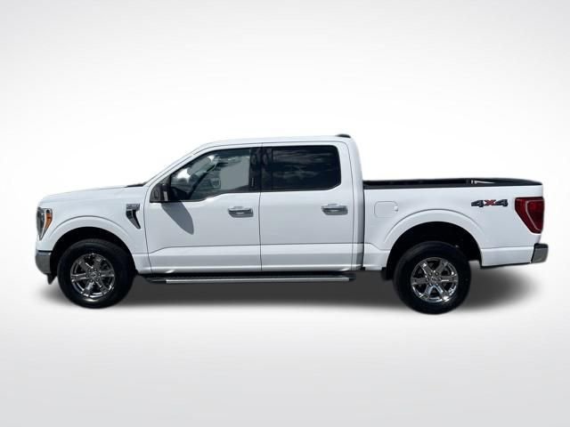 Certified 2023 Ford F150 XLT w/ Equipment Group 302A High AWD/4WD image 4