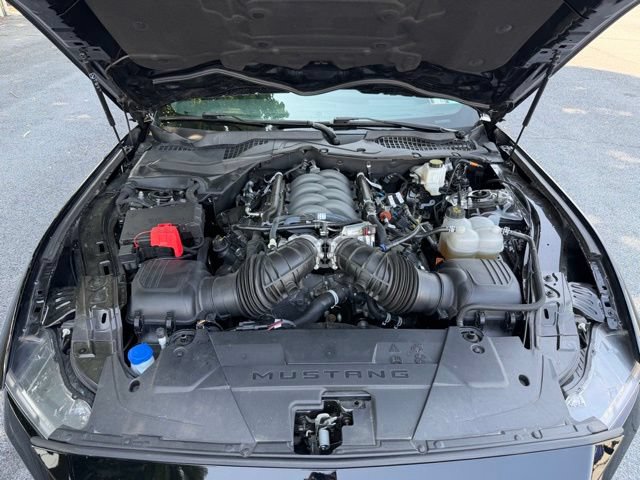 Certified 2024 Ford Mustang GT Premium RWD image 22