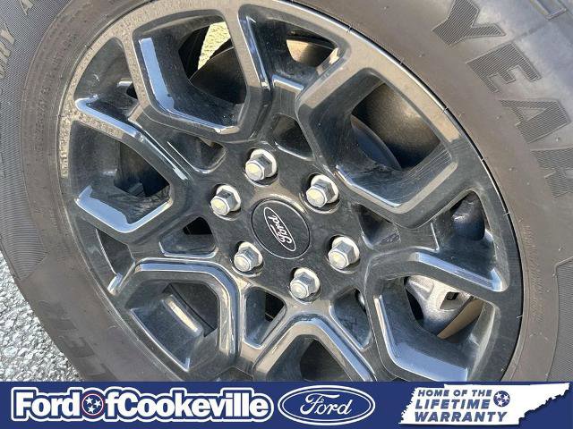 Certified 2025 Ford F150 XLT w/ Equipment Group 302A MID image 6