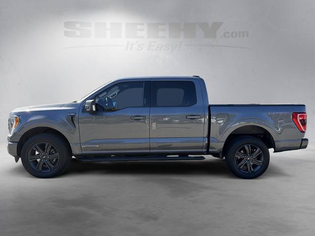 Certified 2023 Ford F150 XLT w/ Equipment Group 302A High AWD/4WD image 15