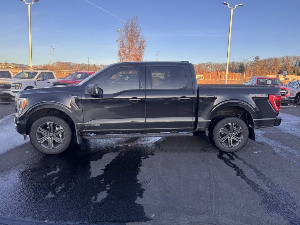 Certified 2023 Ford F150 XLT w/ Equipment Group 302A High image 3