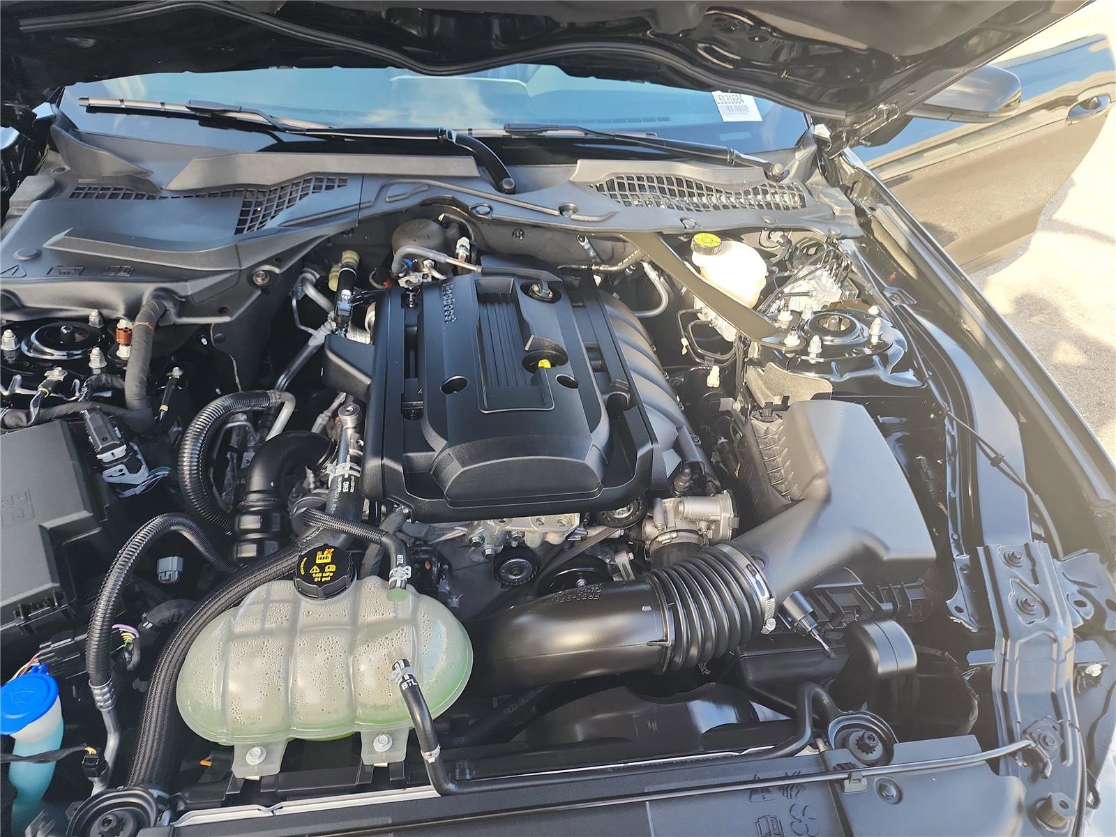 Certified 2020 Ford Mustang Premium image 13