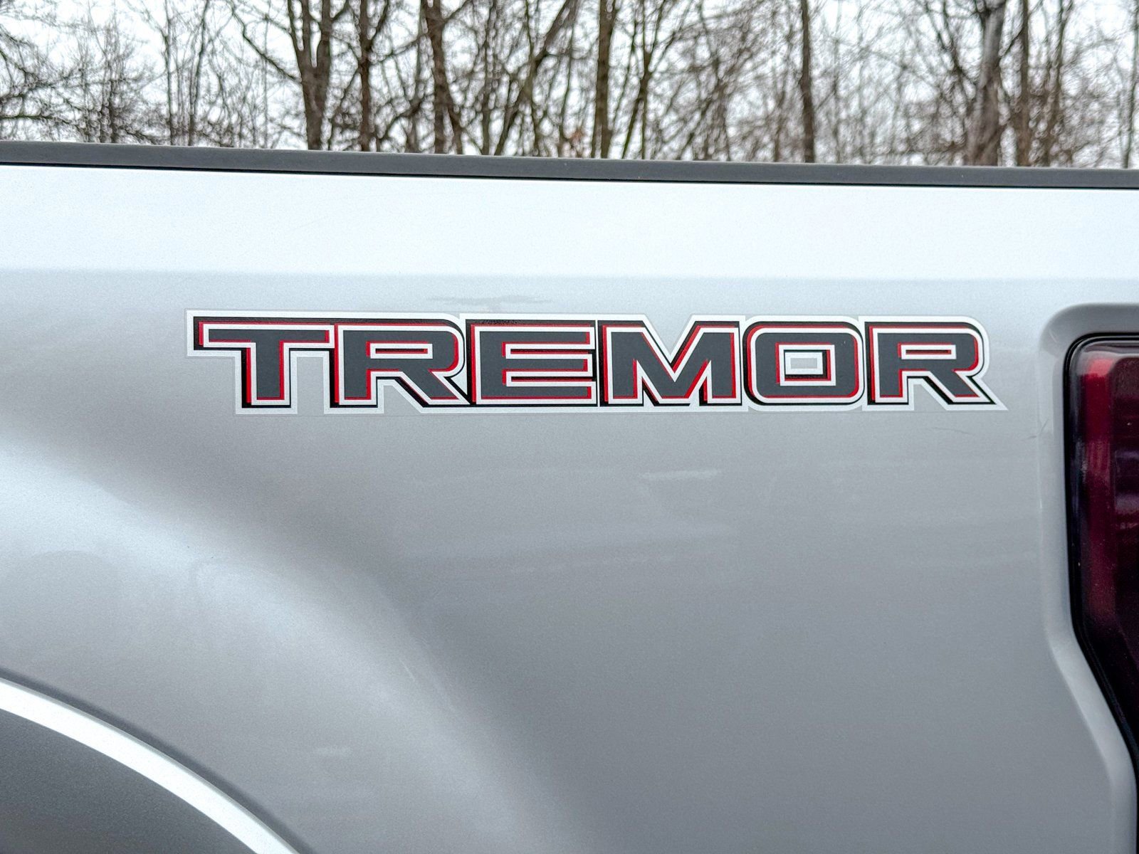 Certified 2022 Ford F350 Platinum w/ Tremor Off-Road Package image 9