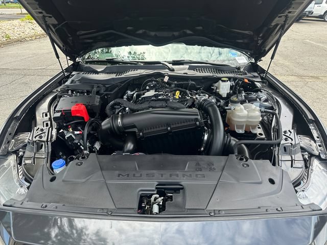 Certified 2024 Ford Mustang Premium RWD image 20