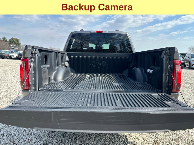 Certified 2025 Ford F150 XLT w/ Equipment Group 301A Standard AWD/4WD image 13