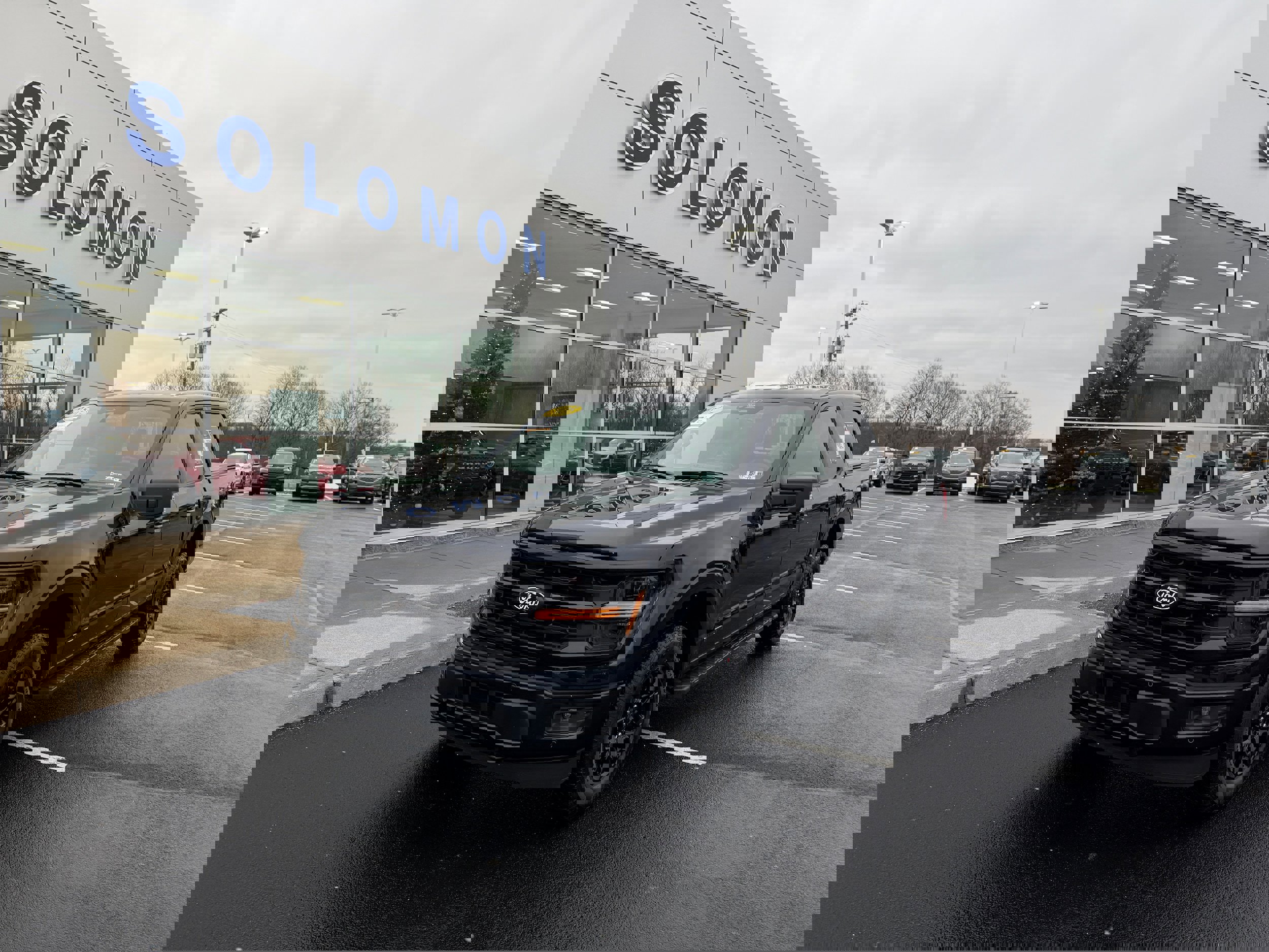 Certified 2025 Ford F150 XLT w/ Equipment Group 302A MID image 2