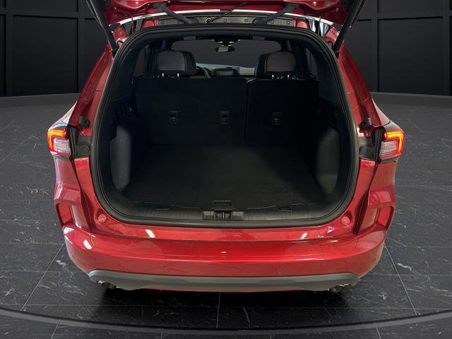 Certified 2025 Ford Escape ST-Line Elite image 17