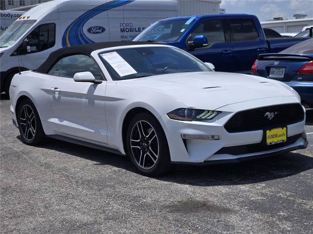 Certified 2021 Ford Mustang Premium RWD image 3