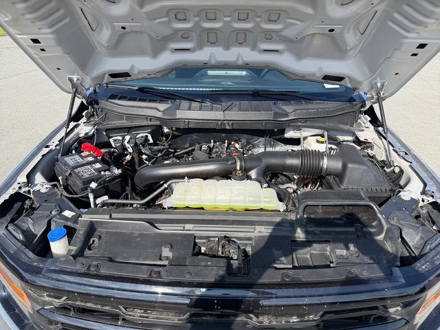 Certified 2025 Ford F150 XLT w/ Equipment Group 301A Standard AWD/4WD image 24