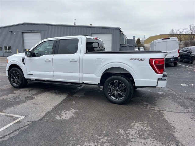 Certified 2023 Ford F150 XLT w/ Equipment Group 302A High image 6