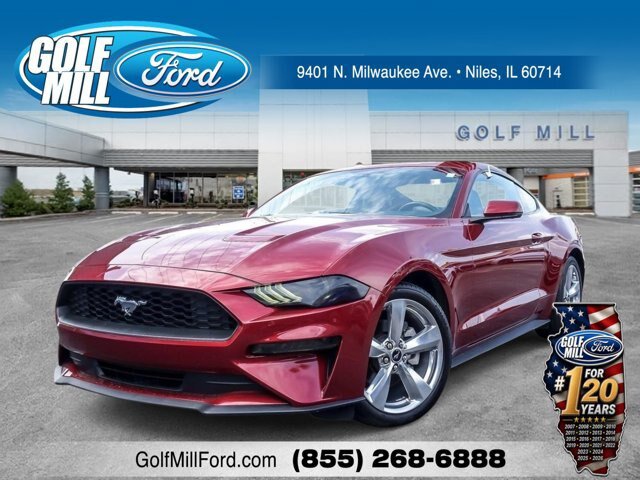 Certified 2019 Ford Mustang Premium w/ Equipment Group 201A