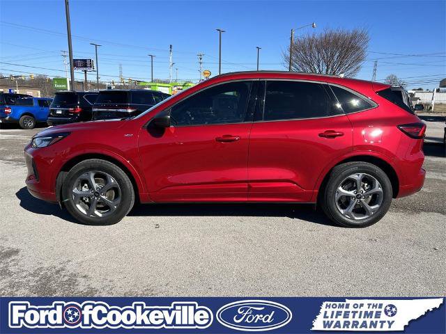 Certified 2024 Ford Escape ST-Line w/ Tech Pack #1 image 7