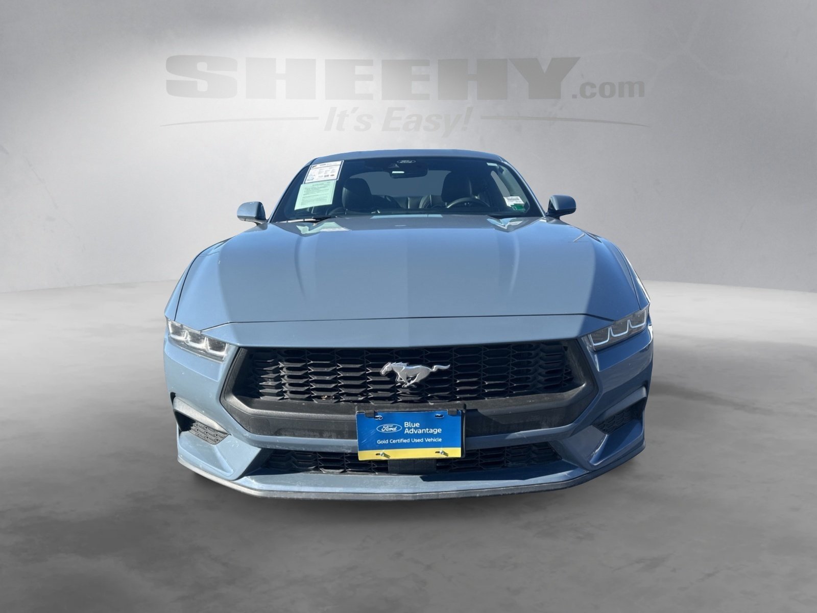 Certified 2024 Ford Mustang Premium image 10