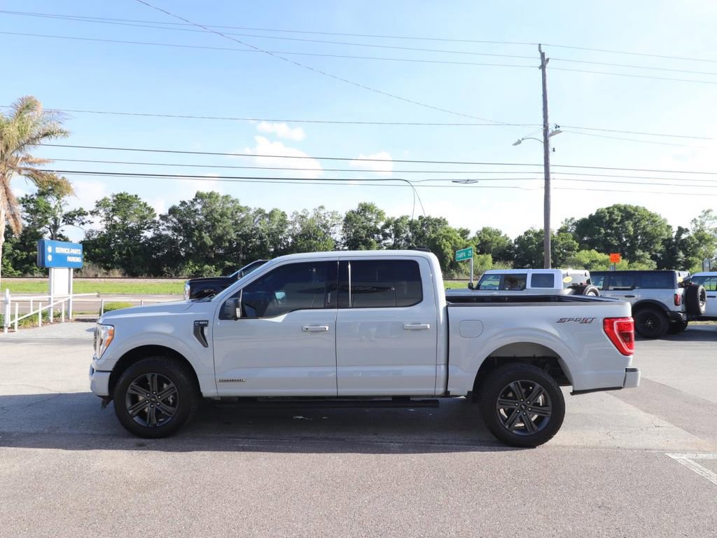 Certified 2023 Ford F150 XLT w/ Equipment Group 302A High image 2